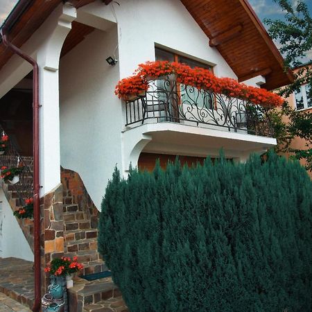 Casa Ade Villa Ocna Şugatag Buitenkant foto