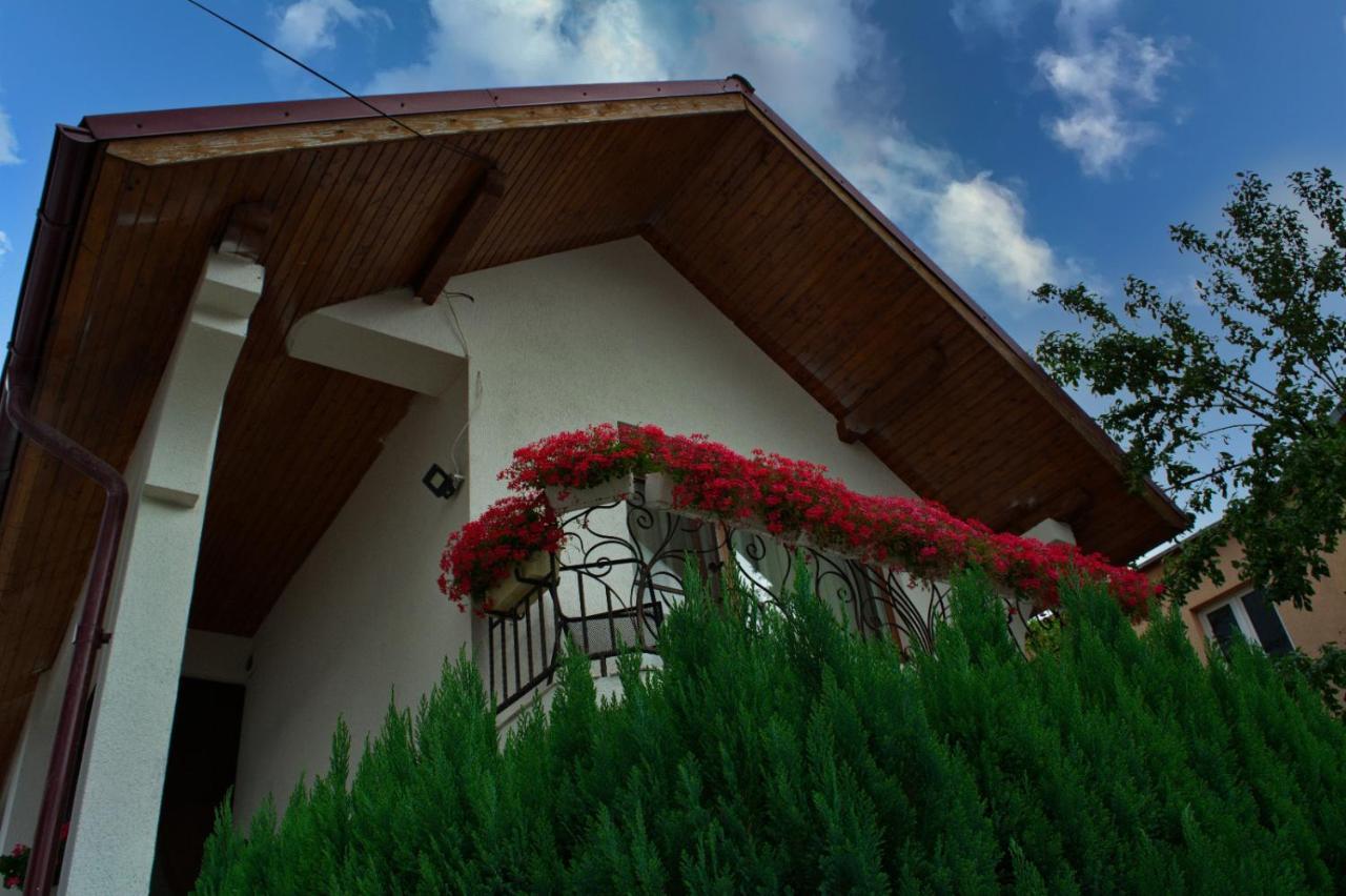 Casa Ade Villa Ocna Şugatag Buitenkant foto