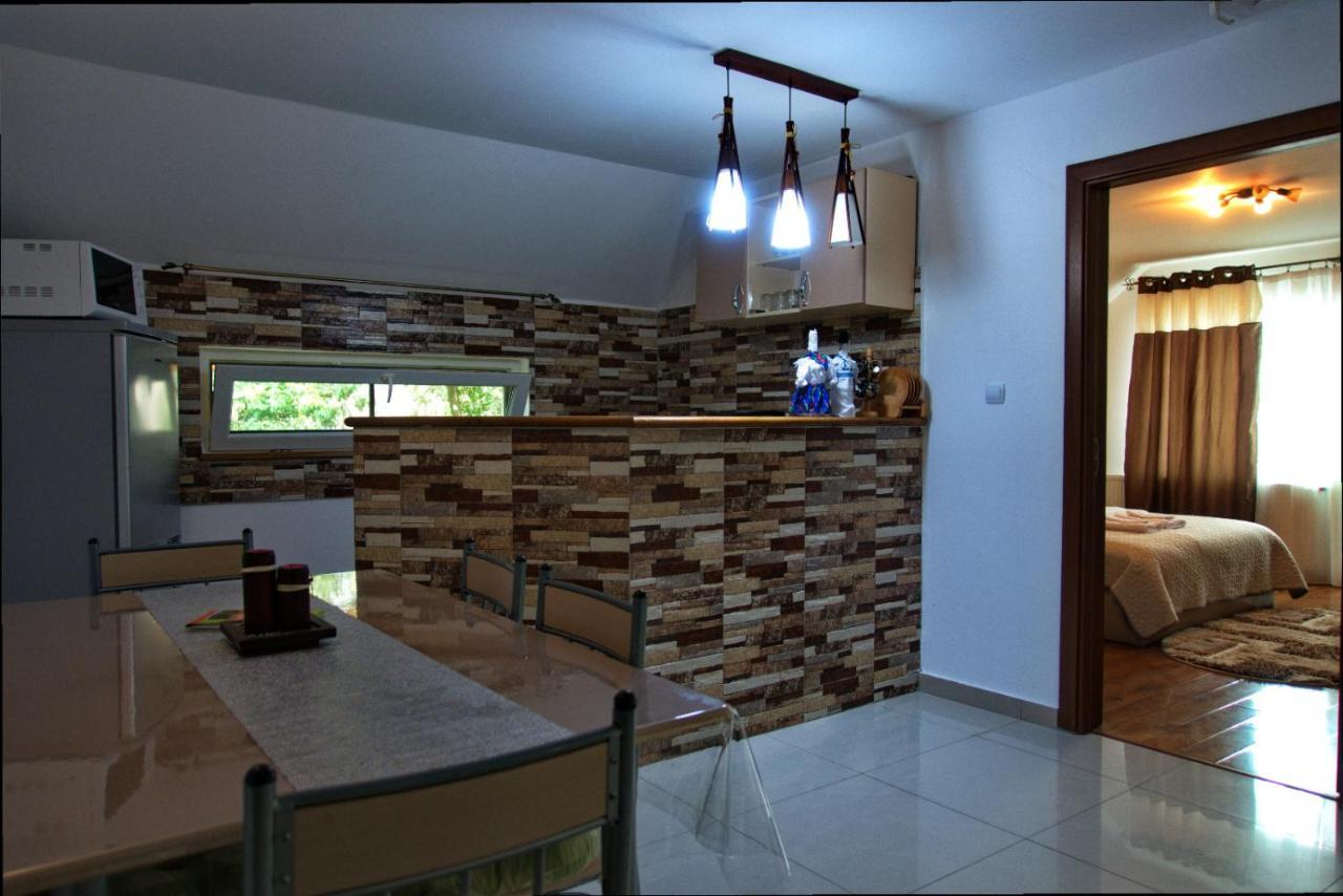 Casa Ade Villa Ocna Şugatag Buitenkant foto