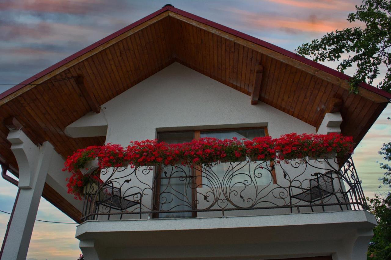 Casa Ade Villa Ocna Şugatag Buitenkant foto